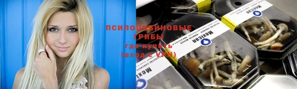 прущие грибы Алзамай