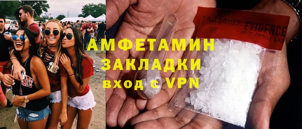 дурь Няндома