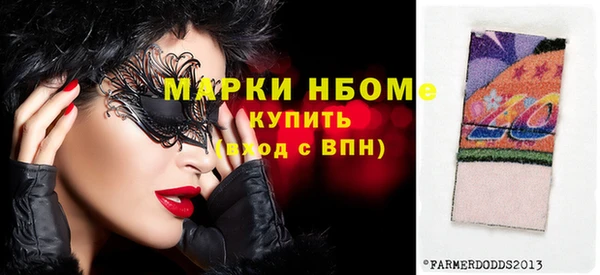 прущие грибы Алзамай